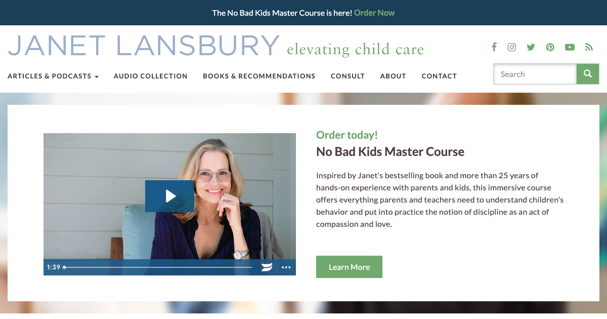 Elevating Child Care (Janet Lansbury)
