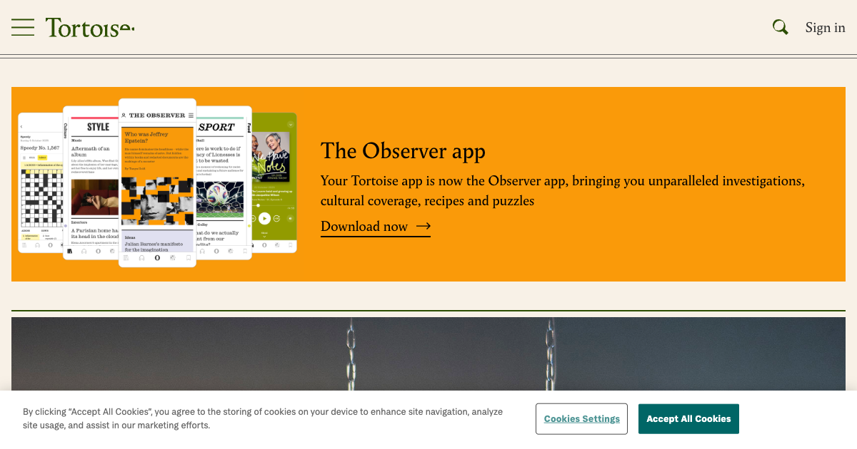 Tortoise (The Sensemaker)